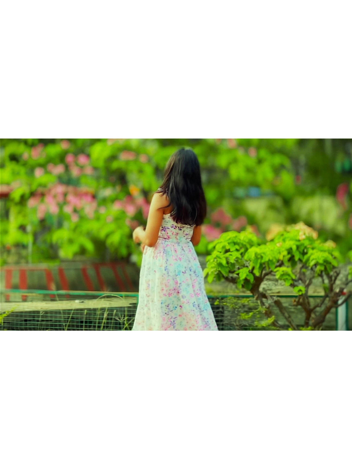 DREAM DRESS
