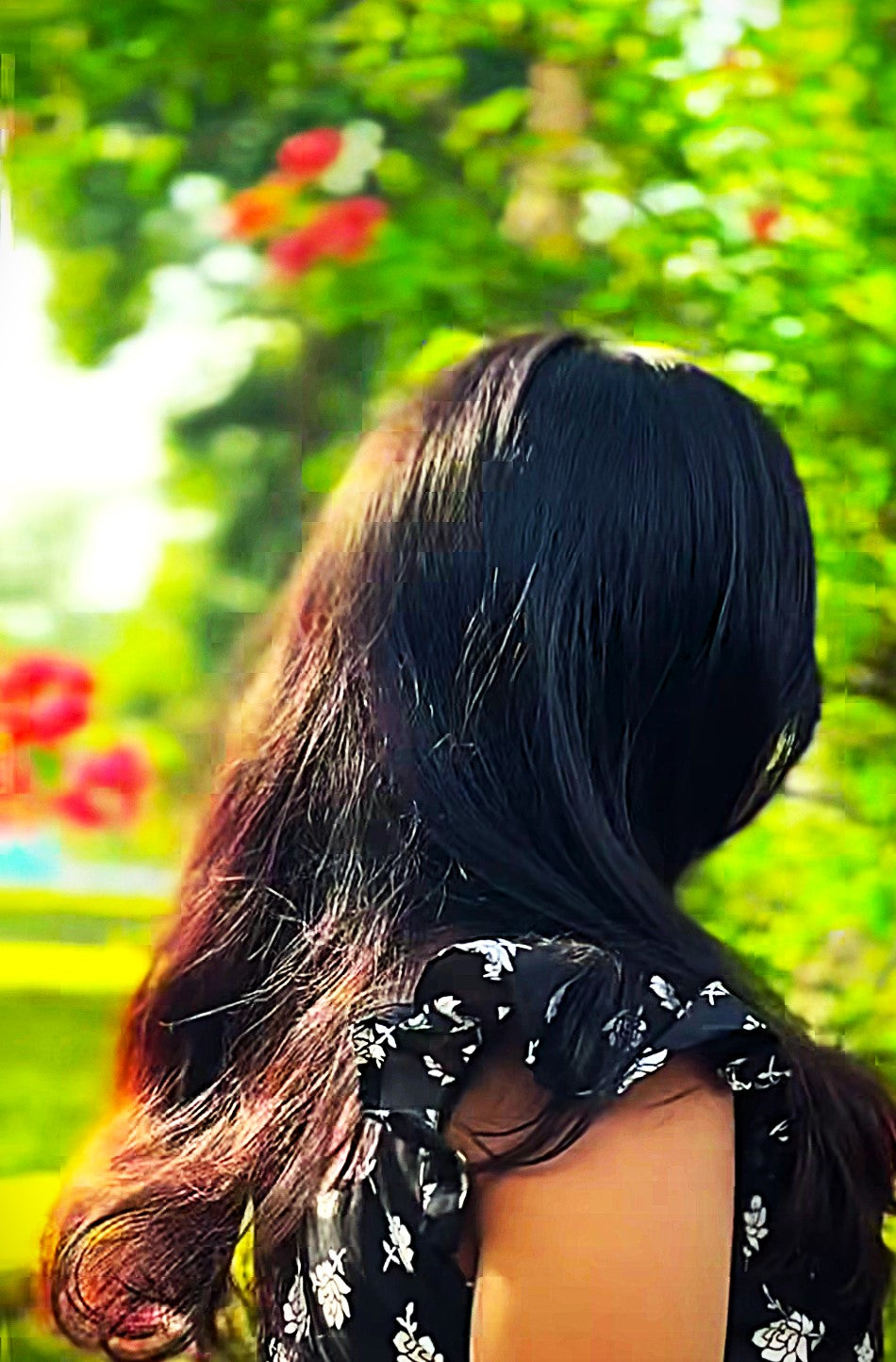 BLACK ROSE